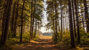 vision de long terme et gouvernance patrimoniale